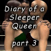 Diary Sleeper Queen 3