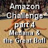 Medana vs Bull