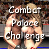 Combat Palace