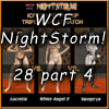 Night Storm